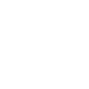 Theatre Projects